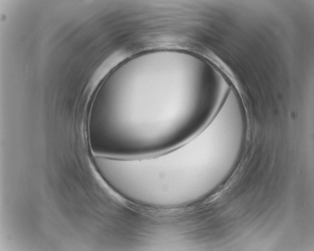 X0000066511293200603170916