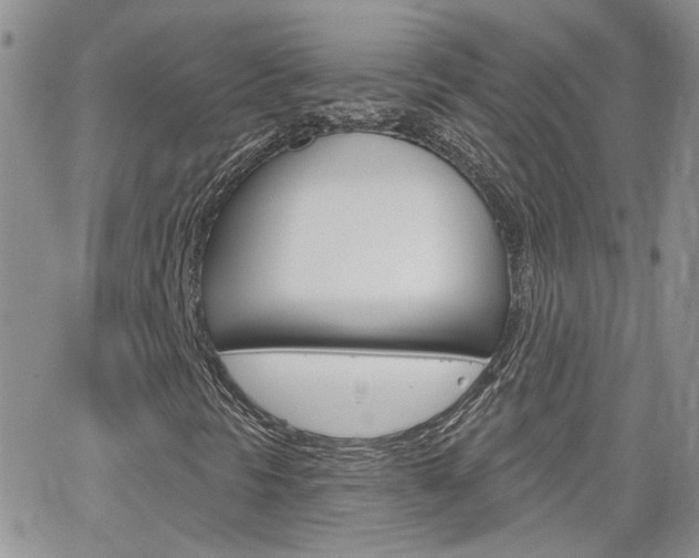 X0000066511297200603170915