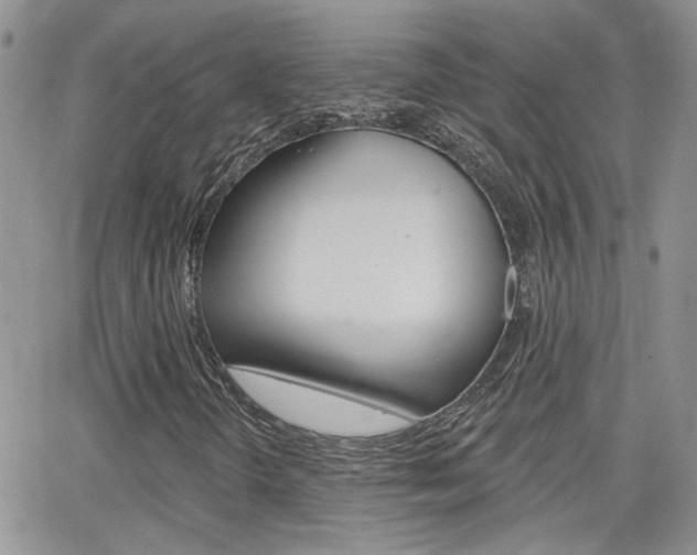 X0000066511298200603170915