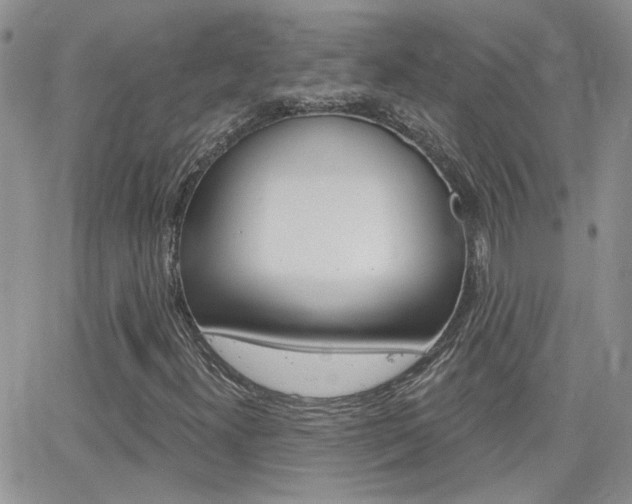 X0000066511300200603170915