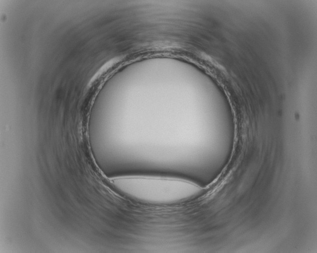 X0000066511306200603170915
