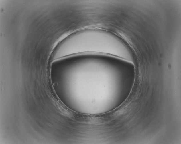 X0000066511308200603170915