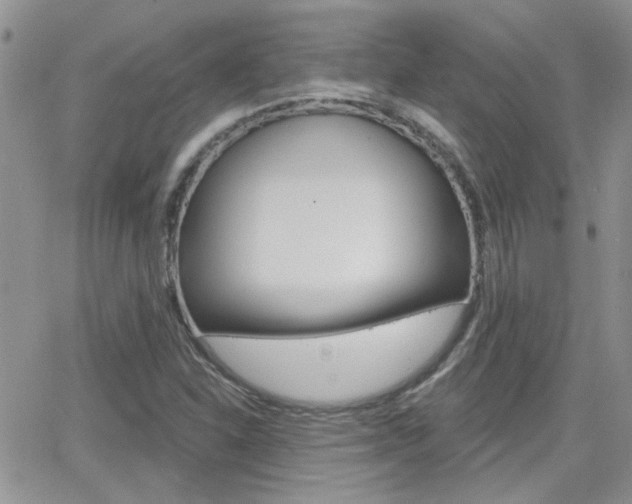 X0000066511310200603170915