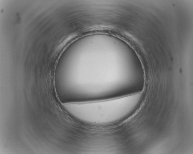X0000066511313200603170915
