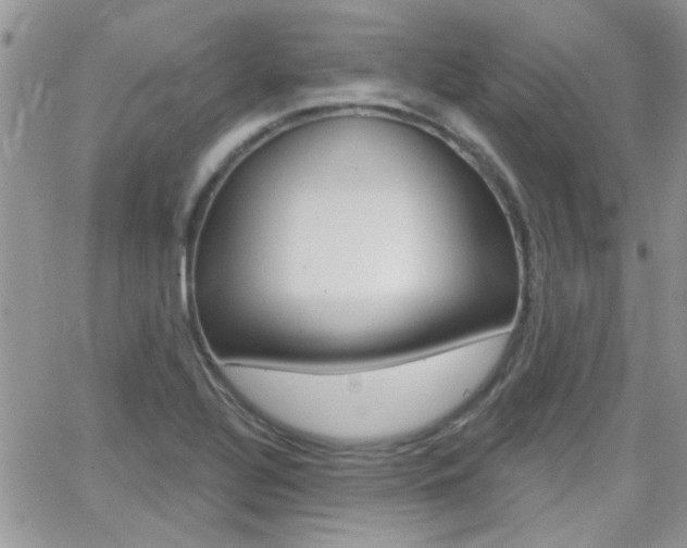 X0000066511320200603170915