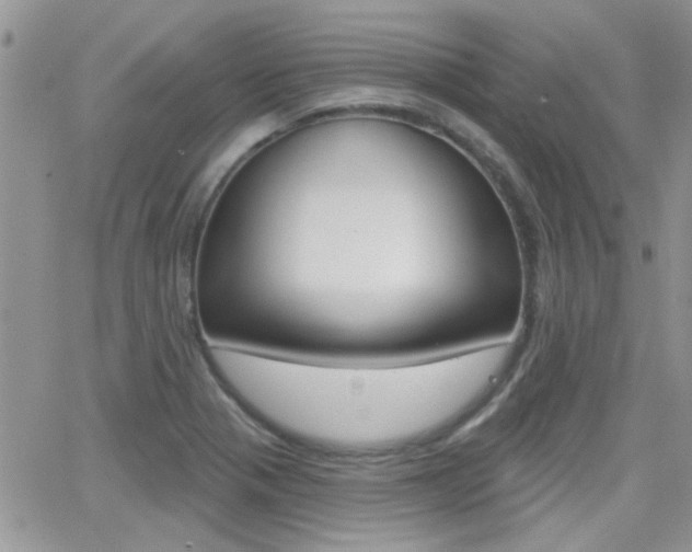 X0000066511321200603170915