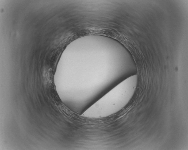 X0000066511346200603170915