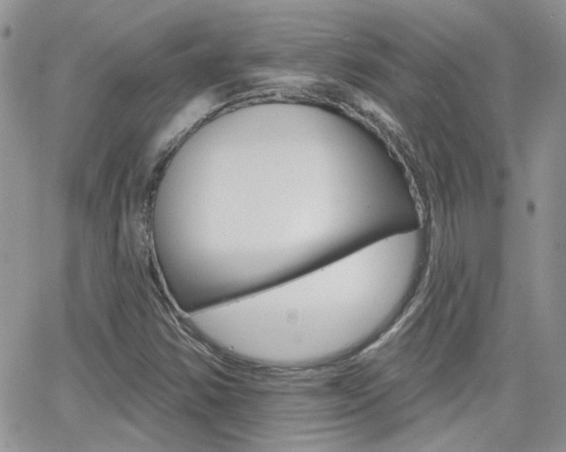 X0000066511354200603170915