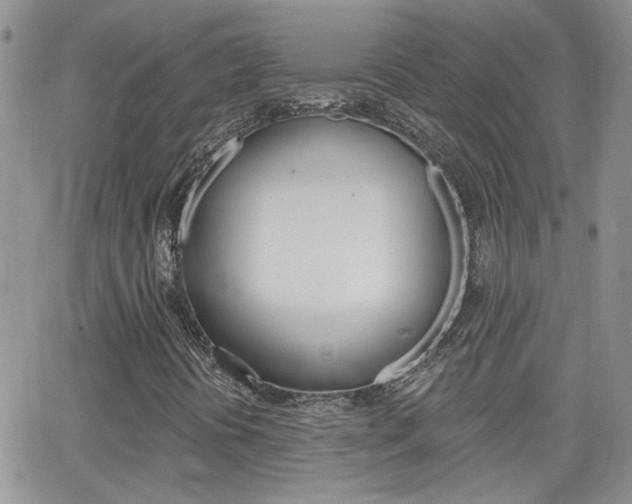 X0000066511394200603170913