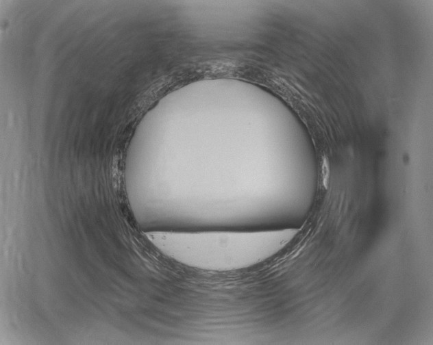 X0000066511395200603170913