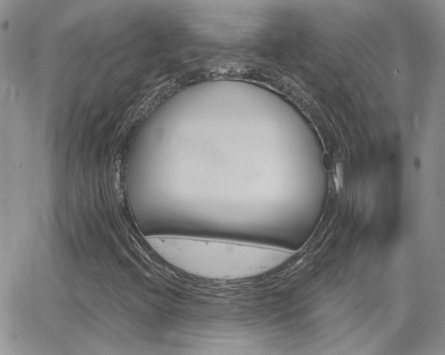 X0000066511396200603170913