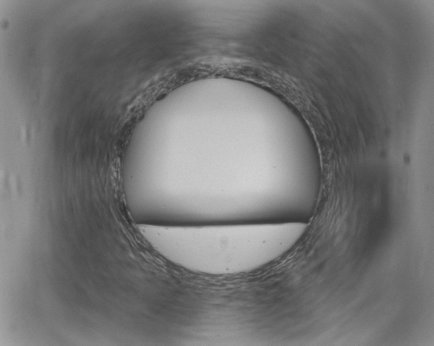 X0000066511397200603170913