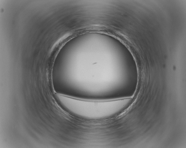 X0000066511402200603170913
