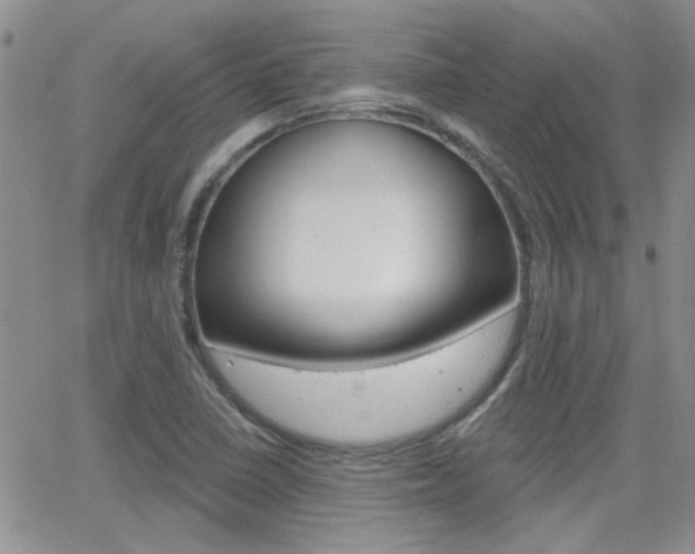 X0000066511410200603170914