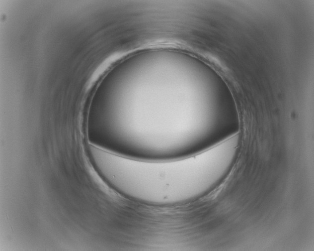 X0000066511422200603170914