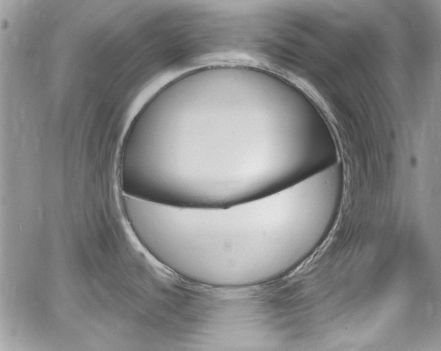 X0000066511440200603170914
