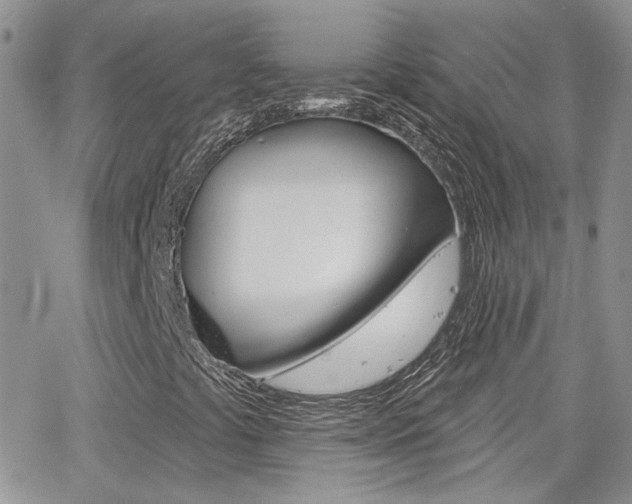 X0000066511441200603170913
