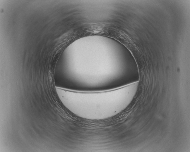 X0000066511442200603170913