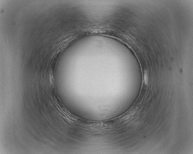 X0000066511444200603170913