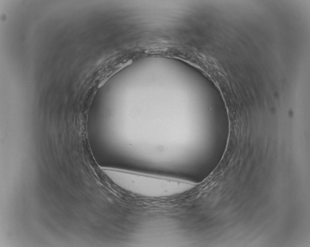 X0000066511445200603170913