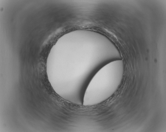X0000066511447200603170913