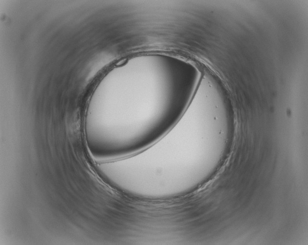 X0000066511450200603170913