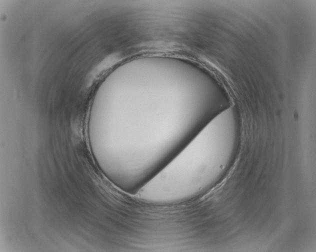 X0000066511451200603170913