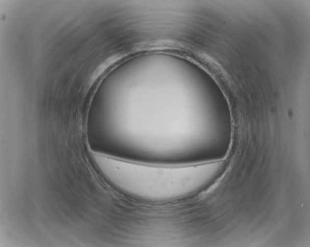 X0000066511457200603170913