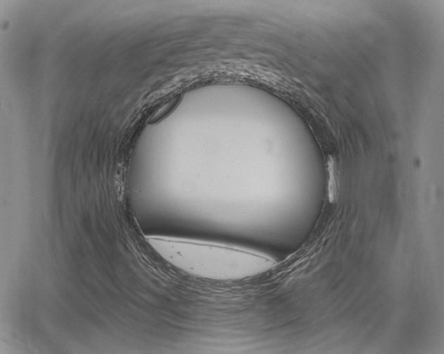 X0000066511491200603170912