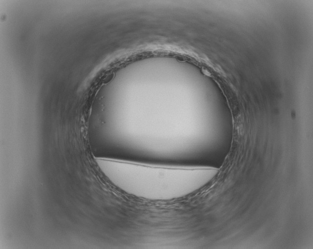 X0000066511495200603170912