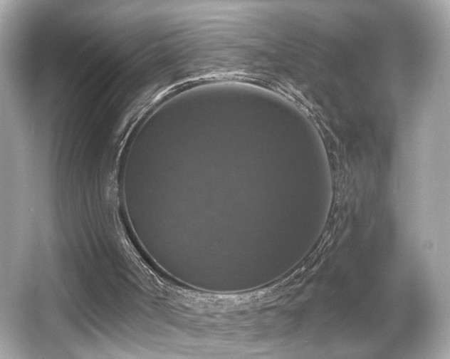 X0000066510002200603171204