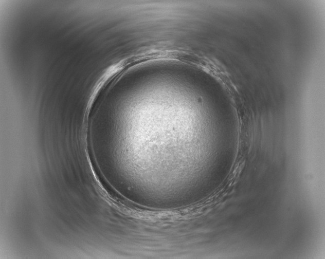 X0000066510003200603171204