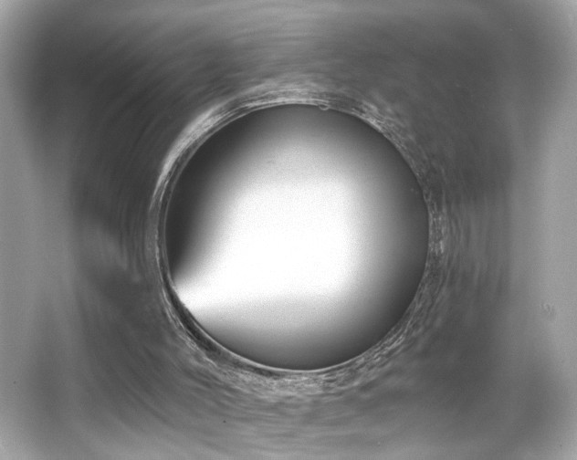 X0000066510004200603171204