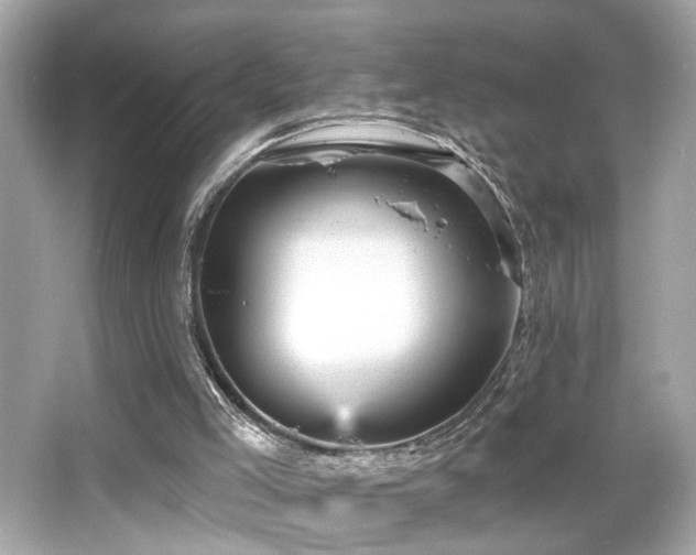 X0000066510005200603171204