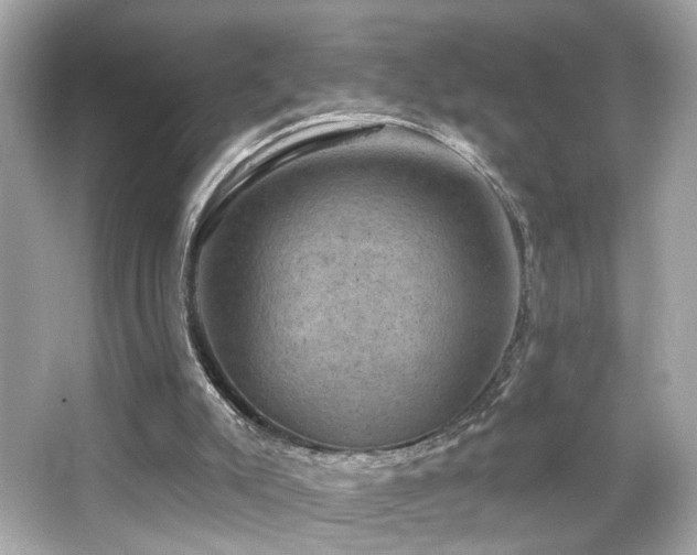 X0000066510007200603171204