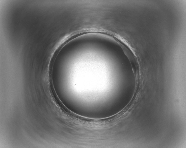 X0000066510008200603171204