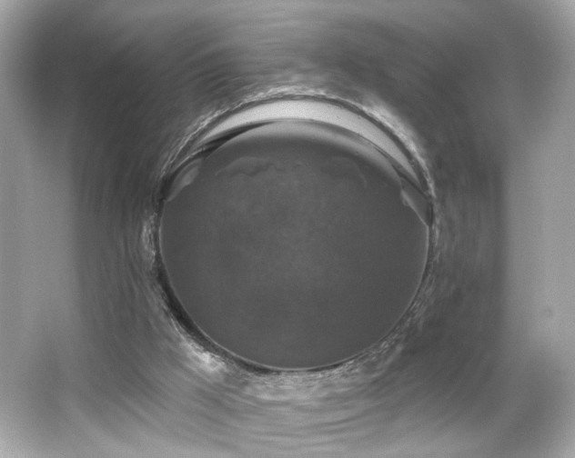 X0000066510009200603171204