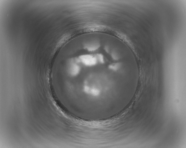 X0000066510010200603171204