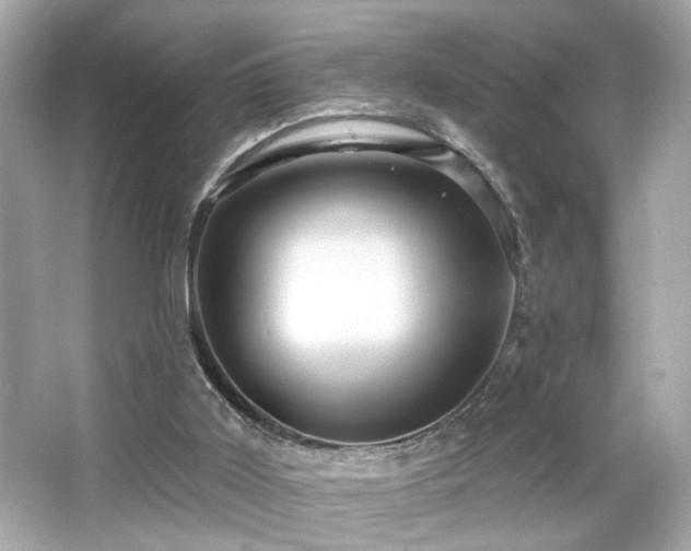 X0000066510011200603171204
