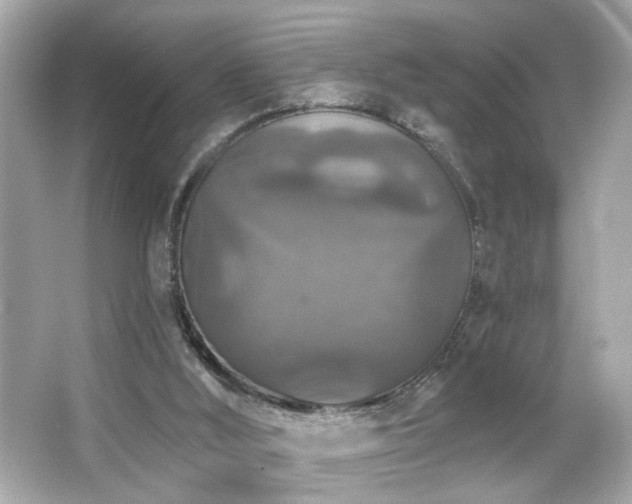 X0000066510012200603171204