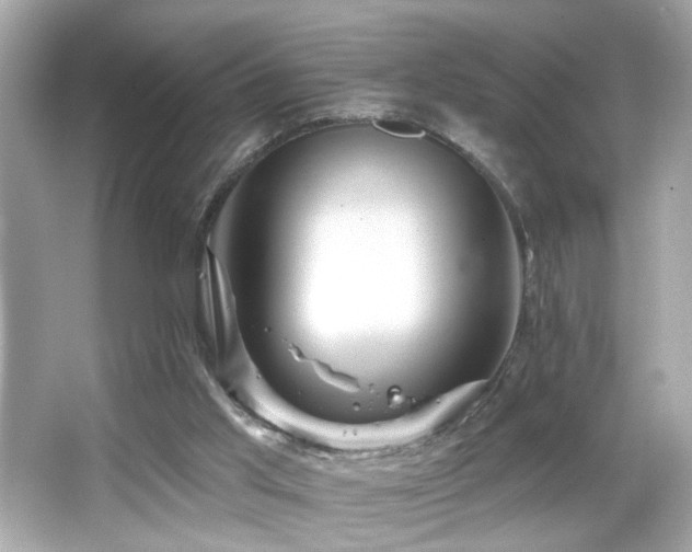 X0000066510013200603171204