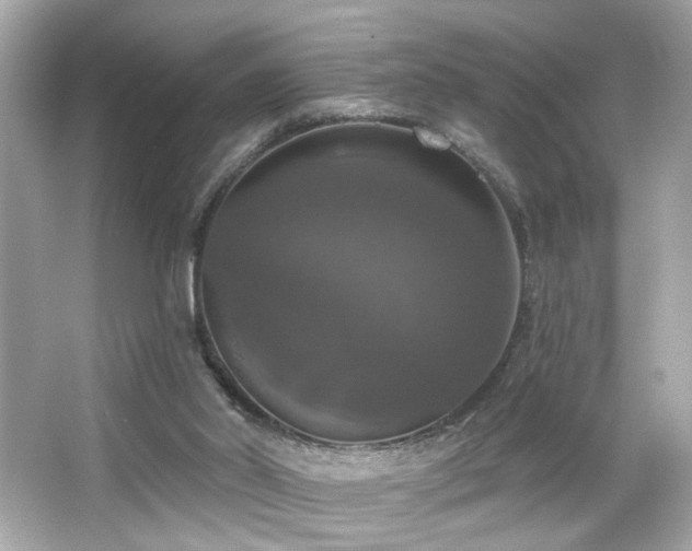 X0000066510014200603171204
