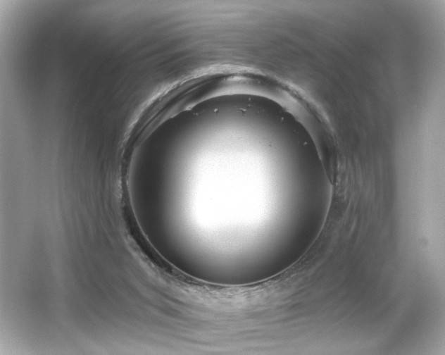 X0000066510015200603171204