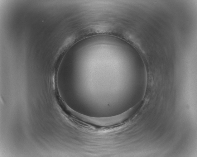 X0000066510019200603171204
