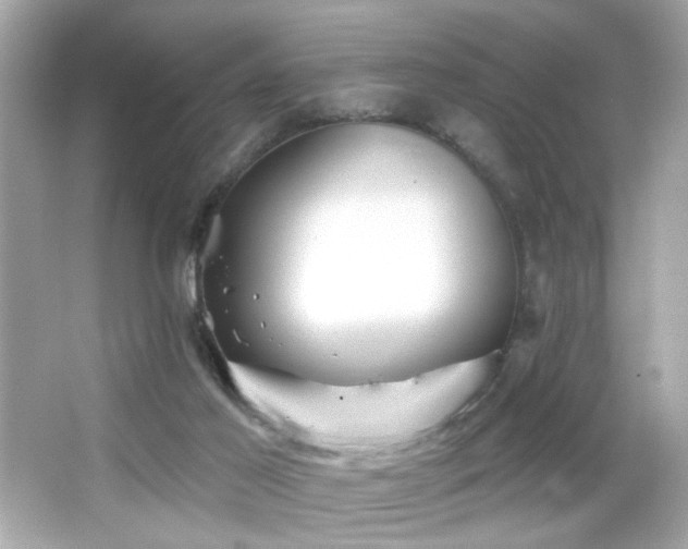X0000066510021200603171204
