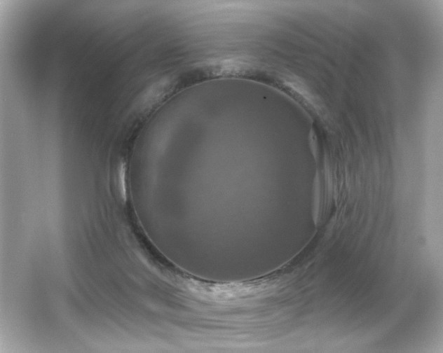 X0000066510022200603171204