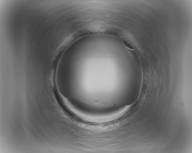 X0000066510023200603171204