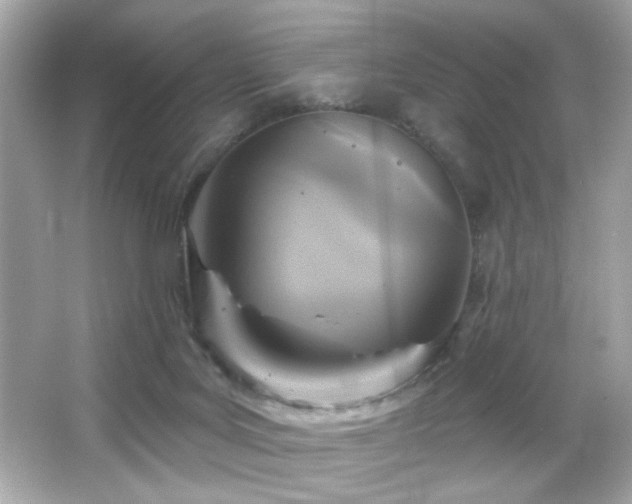 X0000066510027200603171204