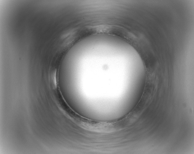 X0000066510028200603171204