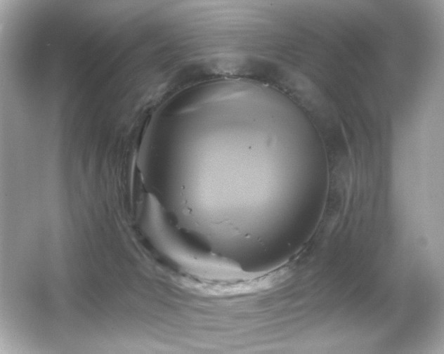 X0000066510031200603171204